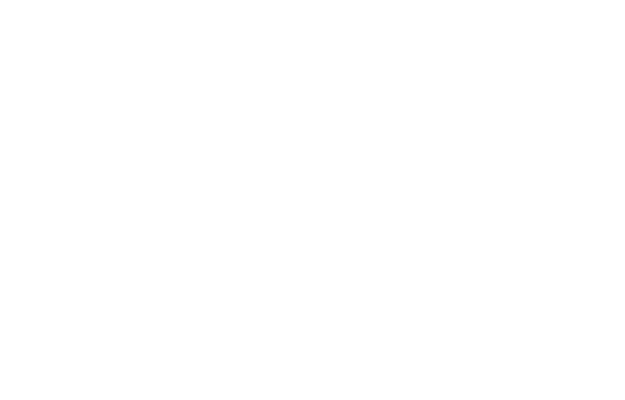 DSA Africa